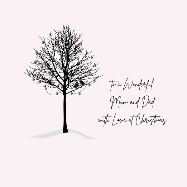 To a Wonderful Mum and Dad With Love At Christmas