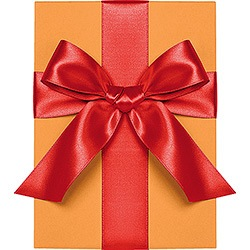 Persimmon Satin Ribbon 1.5"
