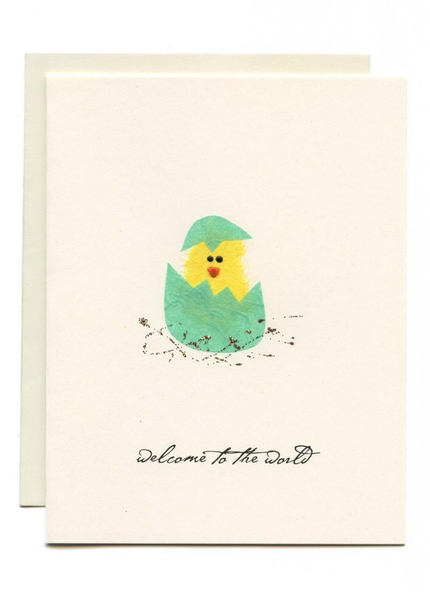 Chick Welcome To The World