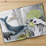 You Belong Here - Gift Book