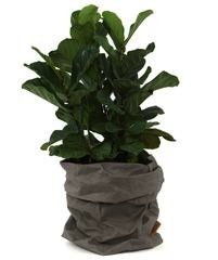 UASHMAMA paper bags coloured -  grey large