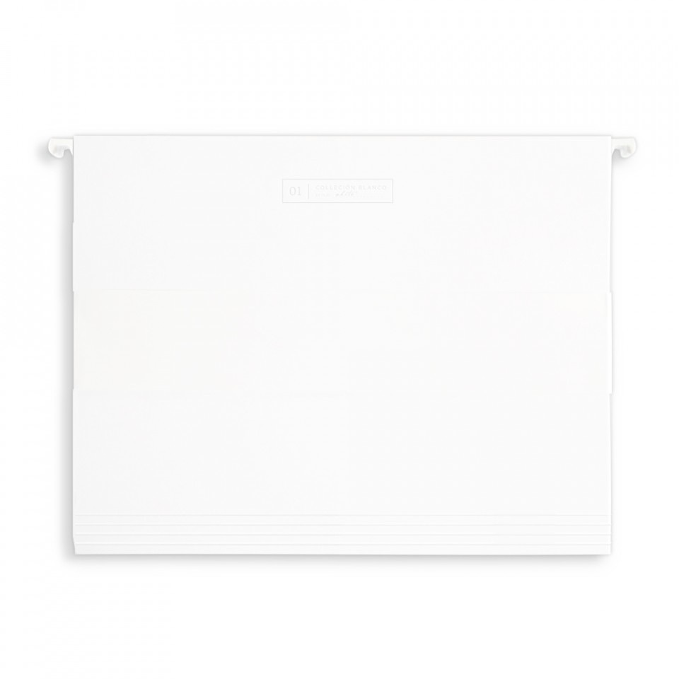 Hanging File Folders - set of 10