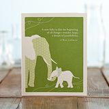 “A new baby is like the beginning of all things—wonder, hope, a dream of possibilities.” - Eda LeShan