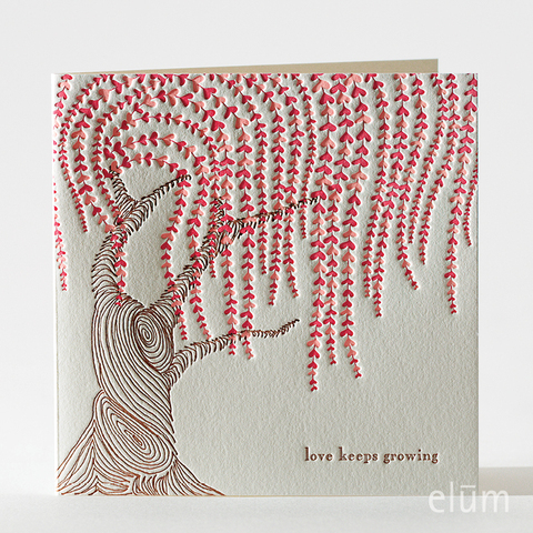 Weeping WIllow (Love)