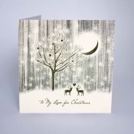 To My Love At Christmas