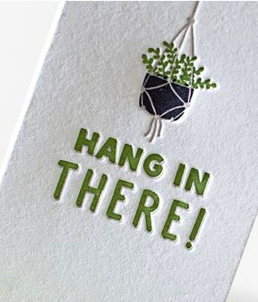 Hanging House Plant
