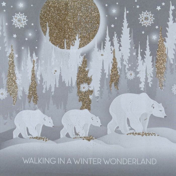 S.S.N. - Walking In A Winter Wonderland - Boxed Cards