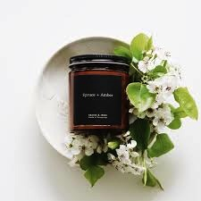 Amber Series - Spruce + Amber