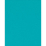 Wrap Roll - peacock - 30" x 10' continuous roll