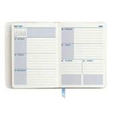 2021 Medium Soft Laminate-Bold Stripe WEEKLY Planner
