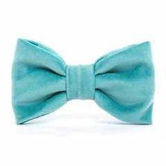 Robin's Egg Velvet Dog Bow Tie - Standard