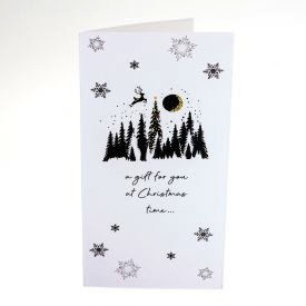 A Christmas Gift For You at Christmas Time