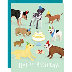 Dog Birthday Party