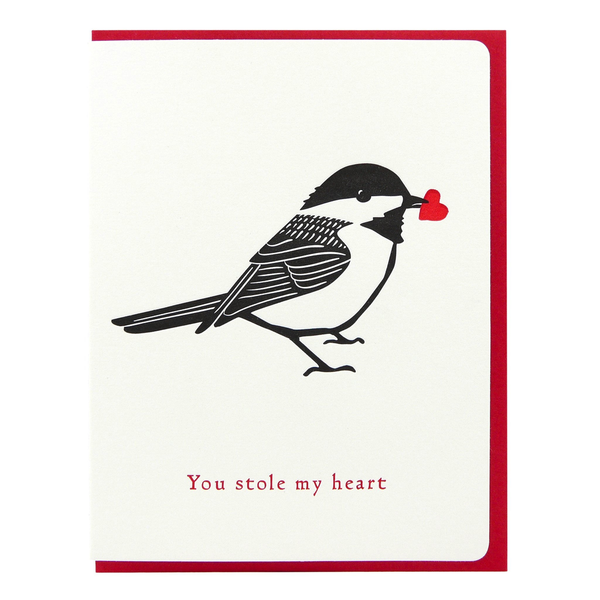 CHICKADEE STOLE MY HEART