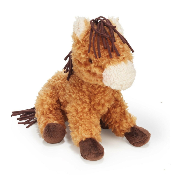 Bucky Jr. the Horse