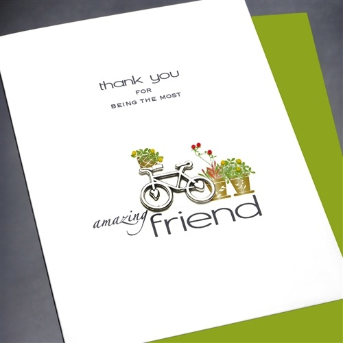 Bicycle, Amazing Friend