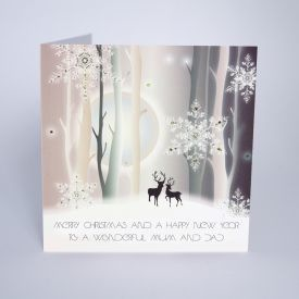 To a Wonderful Mum & Dad