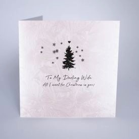 To My Darling Wife, All I Want for...