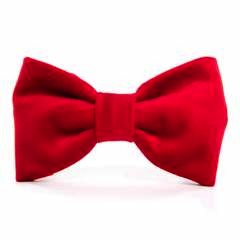 Cranberry Velvet Dog Bow Tie - Standard