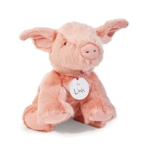 Link the Piglet