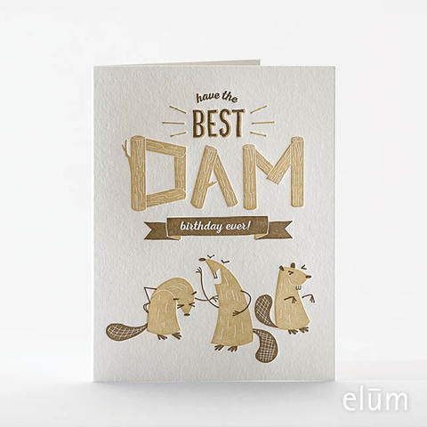 Best Dam Birthday