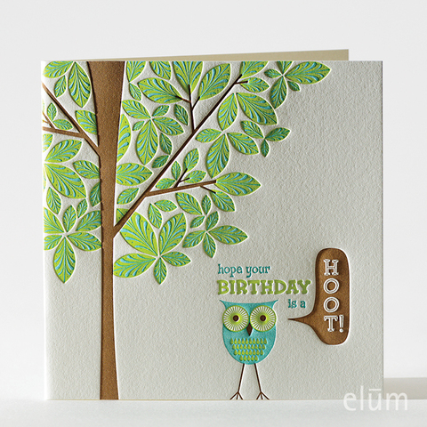 Birthday - hoot