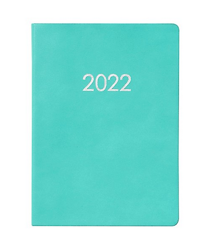 2022 Chicago Ave - Mint Medium Weekly