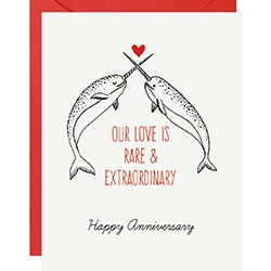 Anniversary Narwhals