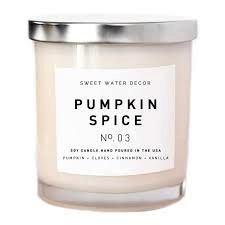 Pumpkin Spice Soy Candle | WHITE JAR