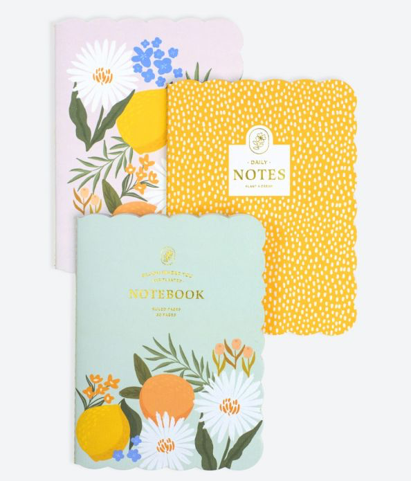 Citrus Florals - 3-Pack Paper Journal