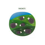 Hedgehog Magnets - Set of 6