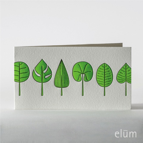 Boxed Cards - Fresh Leaves