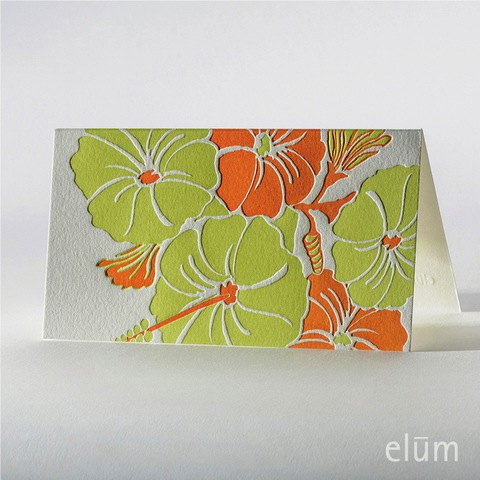 Hibiscus - Boxed Cards