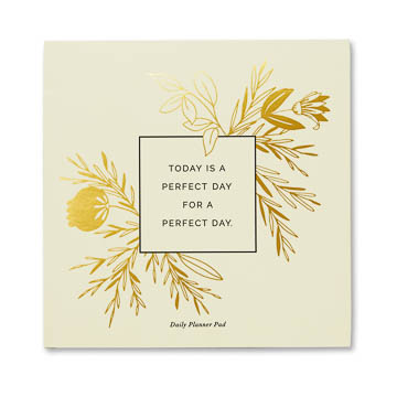TODAY IS A PERFECT DAY FOR A PERFECT DAY. Daily Planner Pad