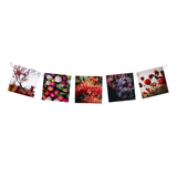 Hitched Linked Photo Clips - SILVER