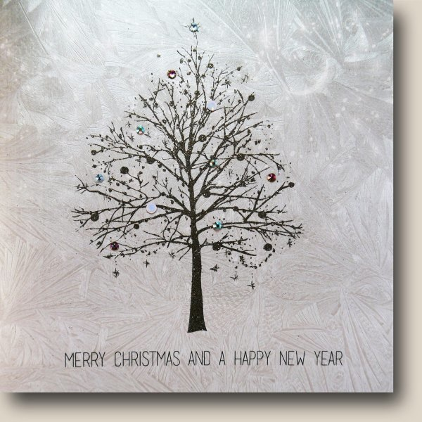 Merry Christmas and a Happy New Year Card