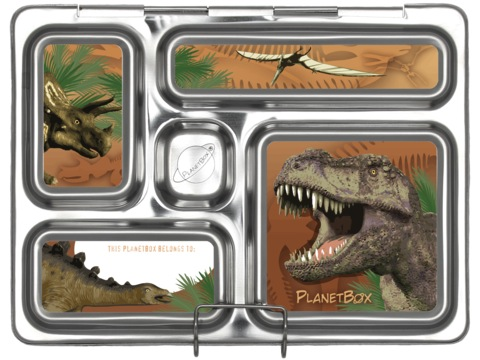 Rover Lunchbox Magnets - Dinosaurs