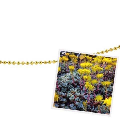Chained-Up! Photo Holder - Gold