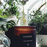 MADERA pine + eucalyptus candle