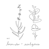No.1 Lavender + Eucalyptus - medium