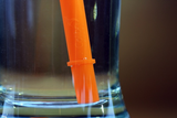 Silicone Straws | 2 Orange