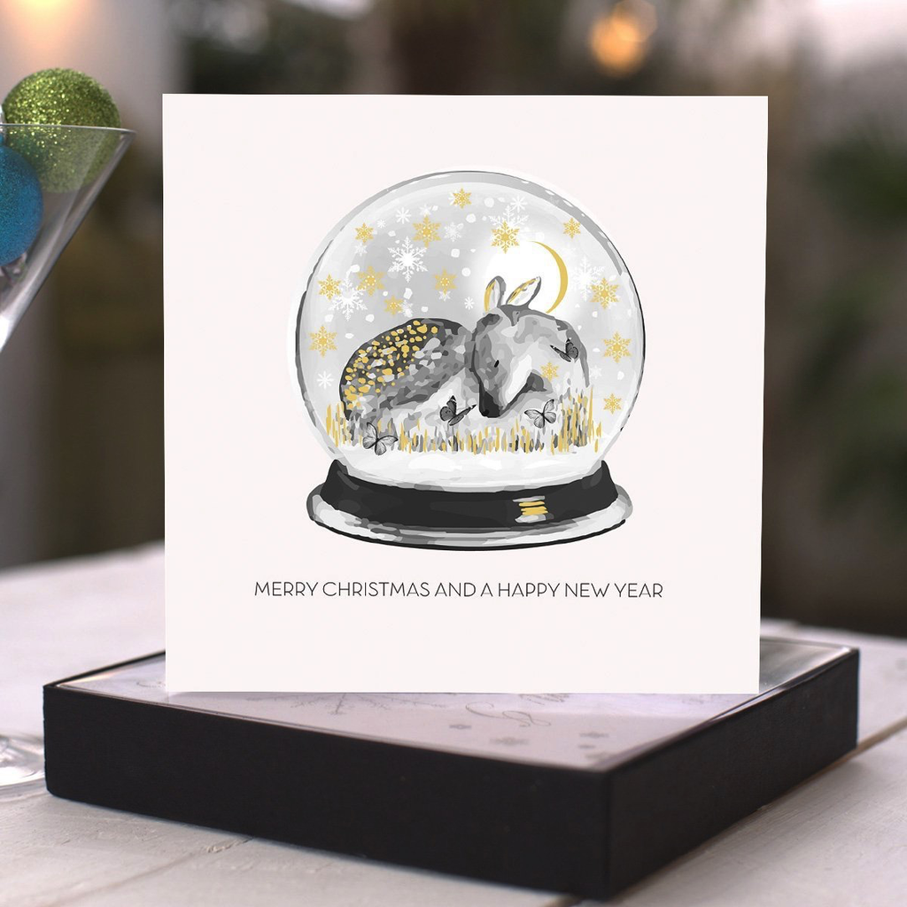 Merry Christmas and a Happy New Year - Snowglobe - boxed cards